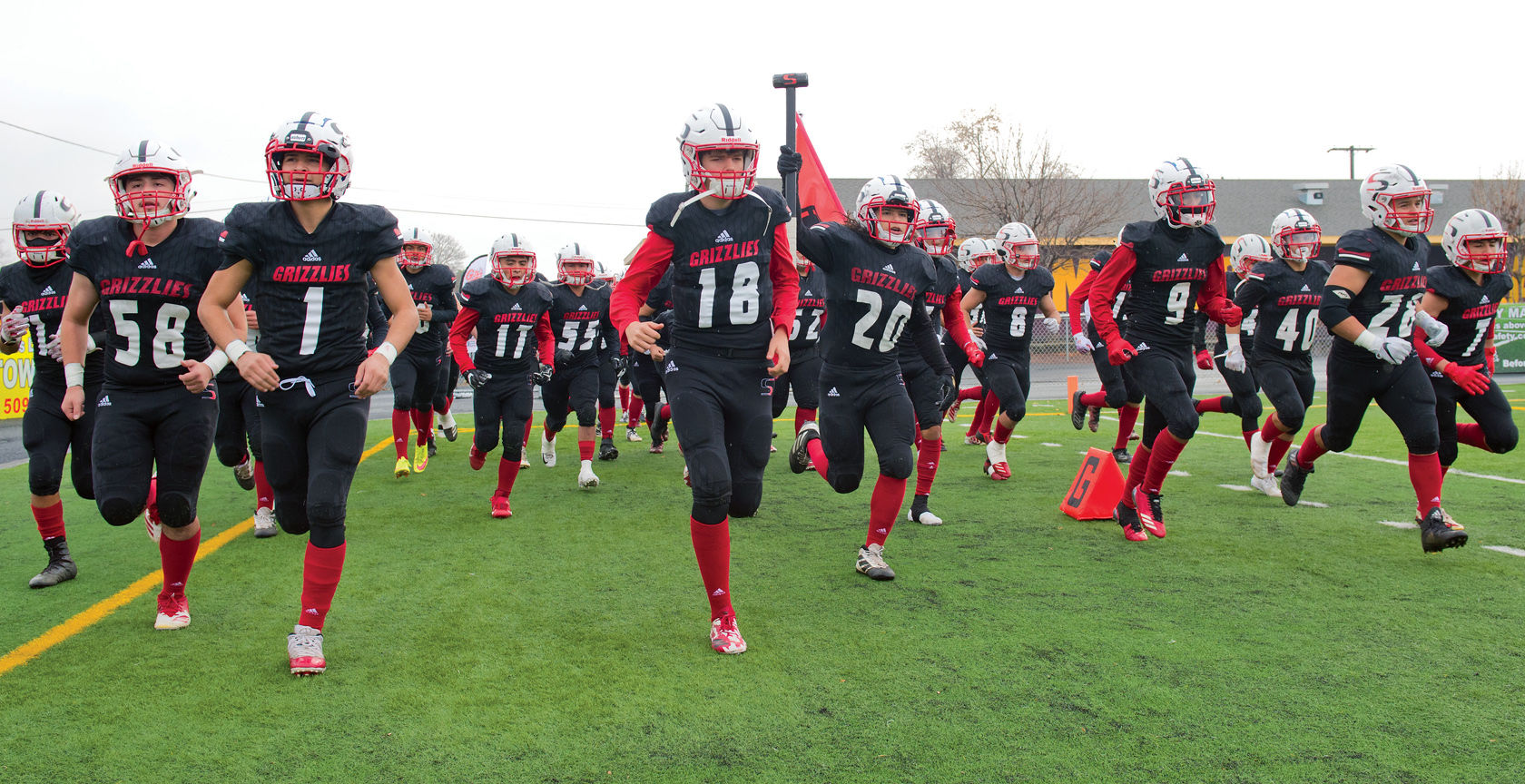 GRIZZLIES STORM FIELD